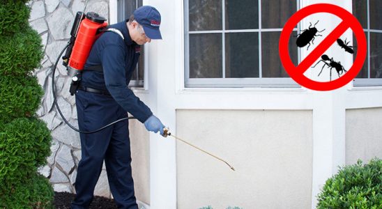Battalgazi Hamam Böceği İlaçlama böcek ilaçlama ve haşere kontrolü — ilaclama-tr.com
